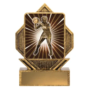 Gold lynx arrow - netball with resin construction