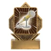 Gold lynx arrow - public speaking with resin construction