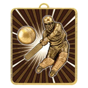 Gold lynx medal - cricket batsman with metal construction
