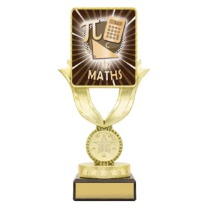 Black lynx sentry - maths with plastic / marble construction
