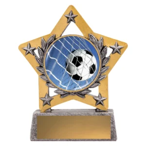 Silver mini star colour - ball in net with resin construction