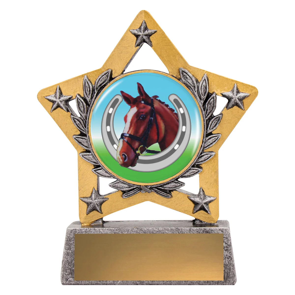 Silver mini star colour - horse shoe with resin construction