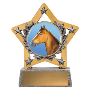 Silver mini star colour - horse with resin construction