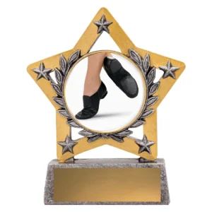 Silver mini star colour - jazz with resin construction