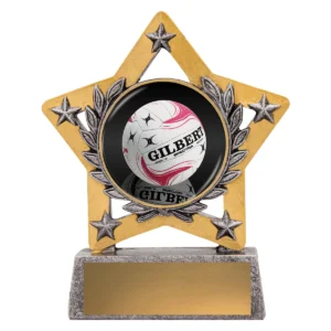 Silver mini star colour - netball with resin construction
