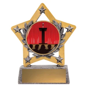 Silver mini star colour - public speaking with resin construction