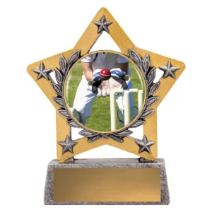 Silver mini star colour - wicketkeeper with resin construction