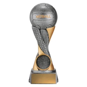 Silver / gold netball apex with resin construction