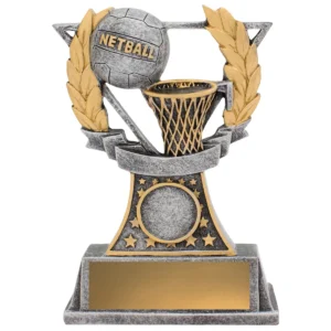 Silver netball classic with resin construction