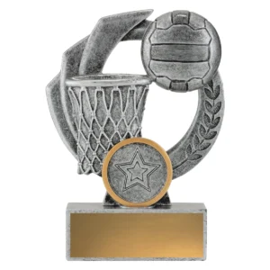 Silver netball falcon with resin construction
