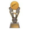 Silver netball fame with resin construction