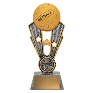 Silver netball fame with resin construction