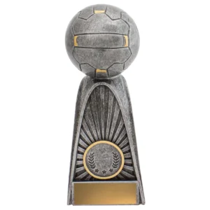 Silver netball fortress with resin construction