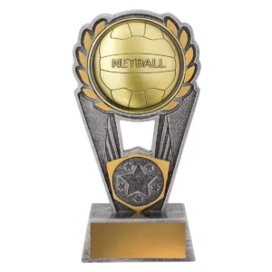 Silver / gold netball polaris with resin / metal construction