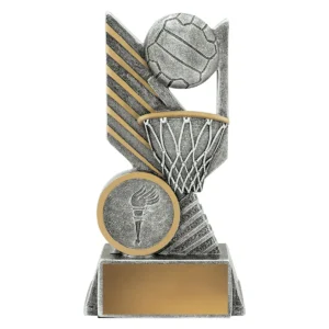 Silver netball rogue with resin construction