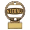 Gold netball 'the ball' with resin construction