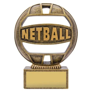Gold netball 'the ball' with resin construction