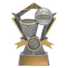 Silver netball valour with resin construction