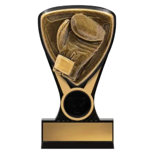 Black / gold nova boxing mini with plastic construction