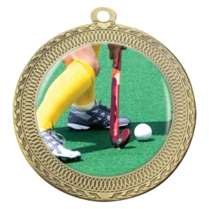 Gold ovation - hockey with metal construction