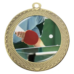Gold ovation - table tennis with metal construction