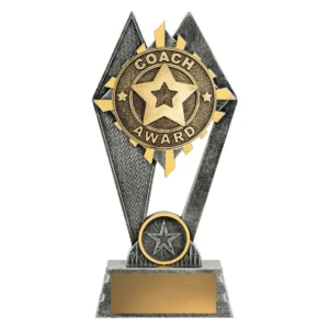Silver / gold peak - coach award with resin construction