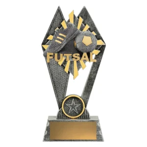 Silver peak - futsal with resin construction
