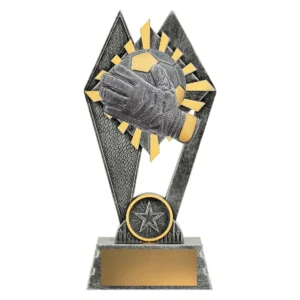 Silver peak - goalkeeper with resin construction