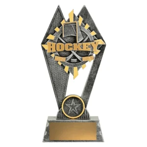 Silver peak - ice hockey with resin construction