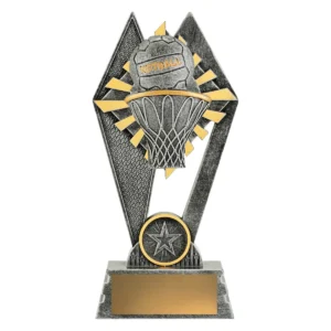 Silver peak - netball with resin construction