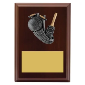 Walnut peak plaque cricket with timber construction