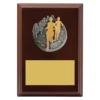 Walnut peak plaque cross country with timber construction