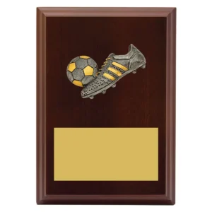 Walnut peak plaque football with timber construction