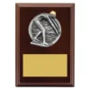 Walnut peak plaque - male swim with timber construction
