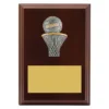 Walnut peak plaque netball with timber construction