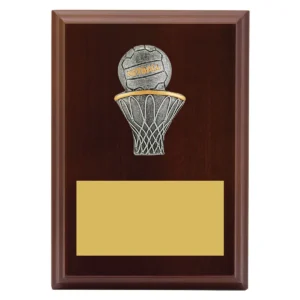 Walnut peak plaque netball with timber construction