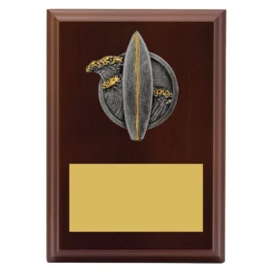 Walnut peak plaque surfing with timber construction