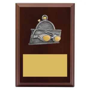 Walnut peak plaque swim with timber construction
