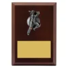 Walnut plaque - female batting with timber construction