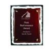 Woodgrain / acrylic plaque with acrylic with timber / acrylic construction
