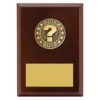 Walnut quiz award plaque with timber construction