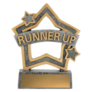 Silver rally mini star - runner up with resin construction