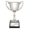 Silver recognition cups with plastic / metal construction