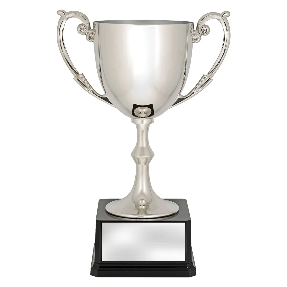 Silver recognition cups with plastic / metal construction