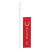 runner up ribbon next to ruler