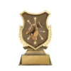 Bronze shield stand-public speaking with plastic construction
