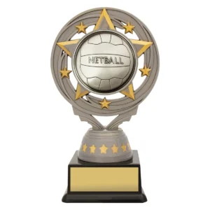 Silver silver netball torch with plastic construction