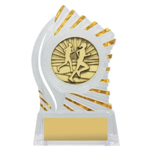 Clear with gold solar running with acrylic construction