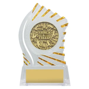 Clear with gold solar track & field with acrylic construction
