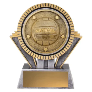 Silver / gold spartan - netball with resin construction